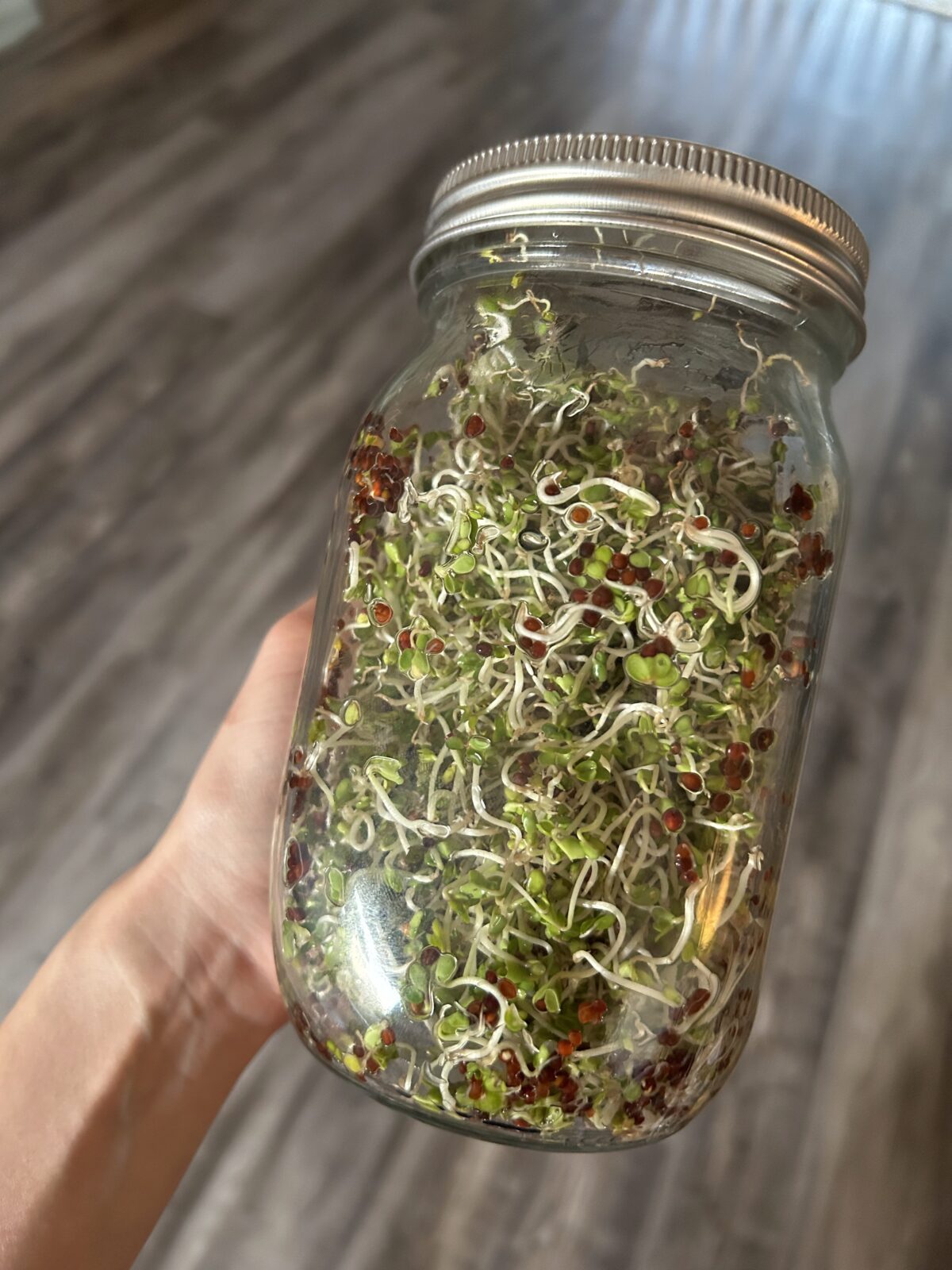 Broccoli Sprouts to Fix Estrogen Dominance
