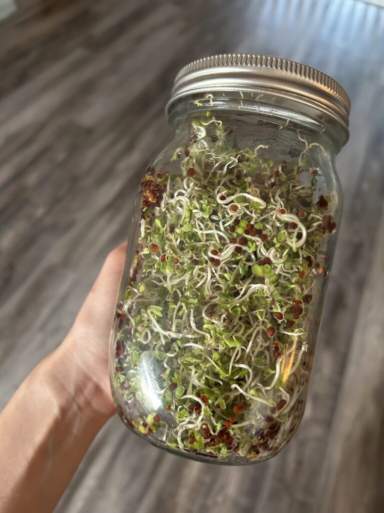 Broccoli Sprouts to Fix Estrogen Dominance 
